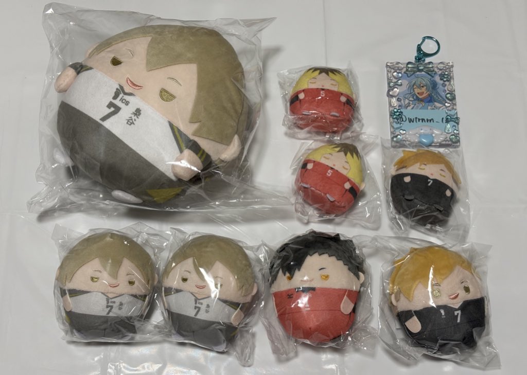 wtrnrn_12's tweet photo. 【交換譲渡】ハイキュー ぬいくじ ふわコロりん てのりんず

求￤定価+送料
譲￤C賞 木葉①／D賞 木葉② 黒尾① 宮侑①
      Ｅ賞 孤爪② 宮侑①

✧郵送または大阪駅周辺手渡し
✧キャラ毎のお譲り優先 
✧銀行振込 PayPay メルペイ など https://t.co/plVJnXQXGn