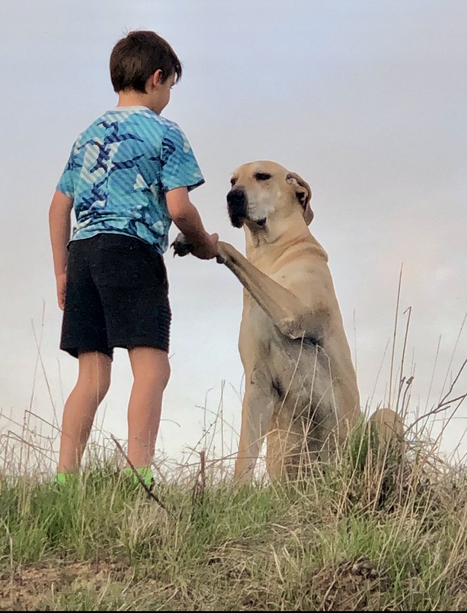 shaycarl ⛷ tweet media