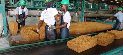 Rising Rubber Production Positions Côte d’Ivoire as a Key Player in Africa’s Tire Market ecofinagency.com/news-industry/…