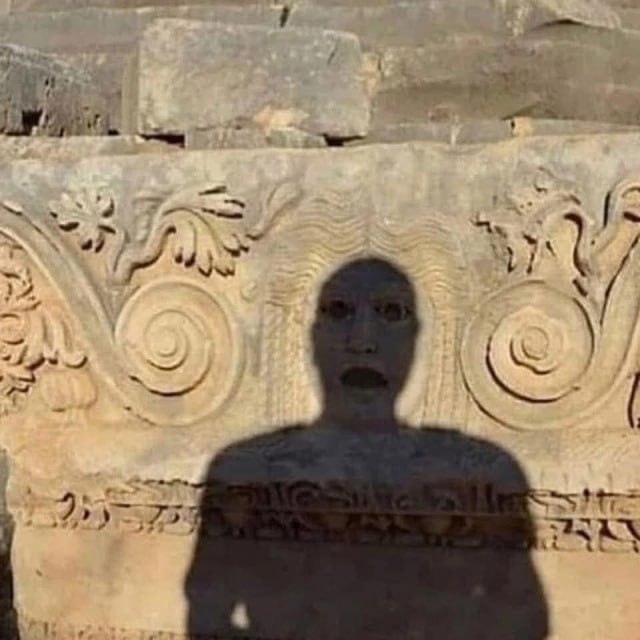 $POSE (@insanelyposes) on Twitter photo 