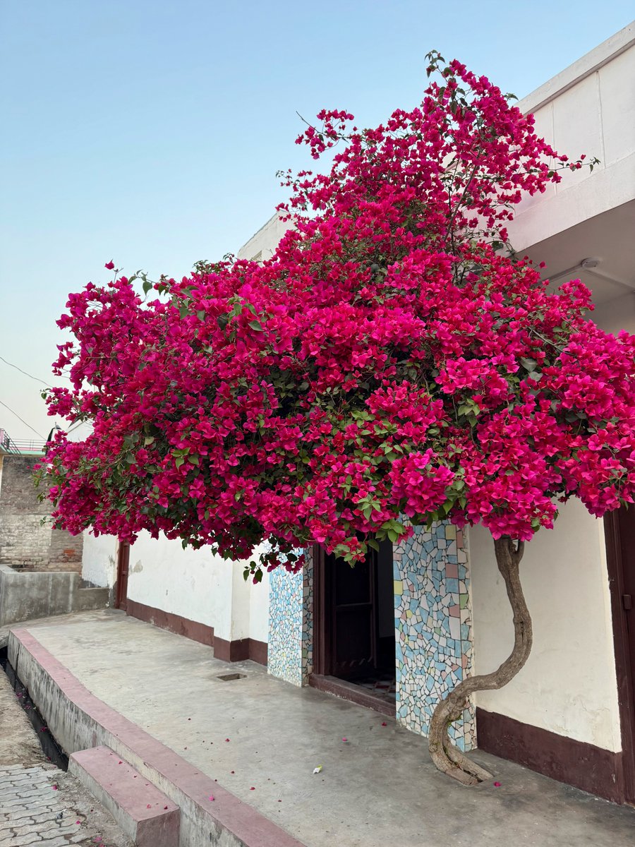 Jatin Lalit tweet media