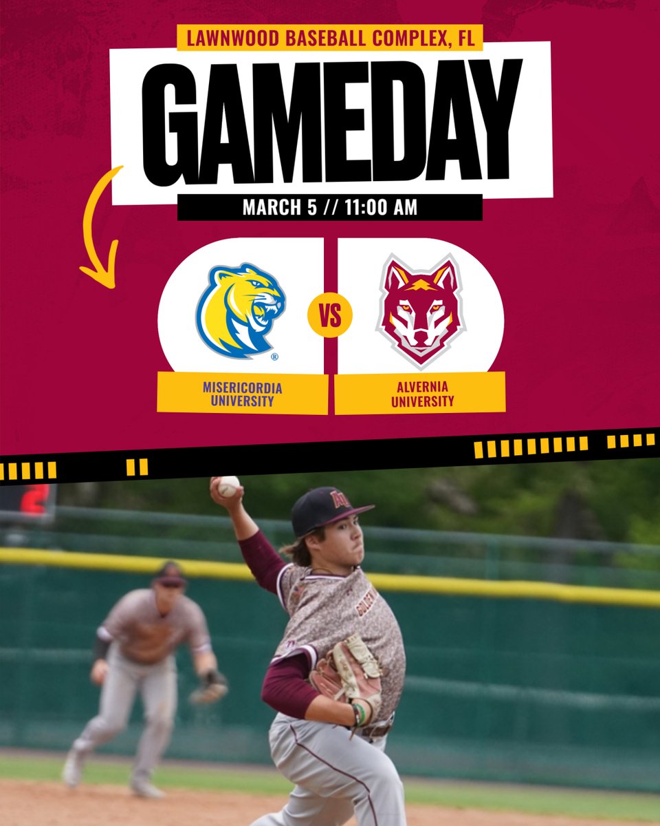 Alvernia Baseball tweet media