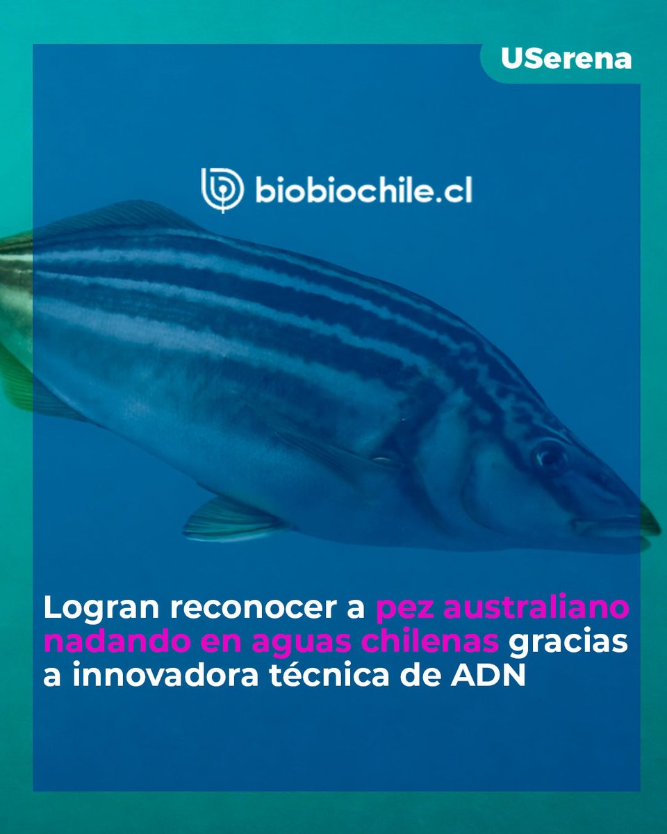 U. de La Serena tweet media