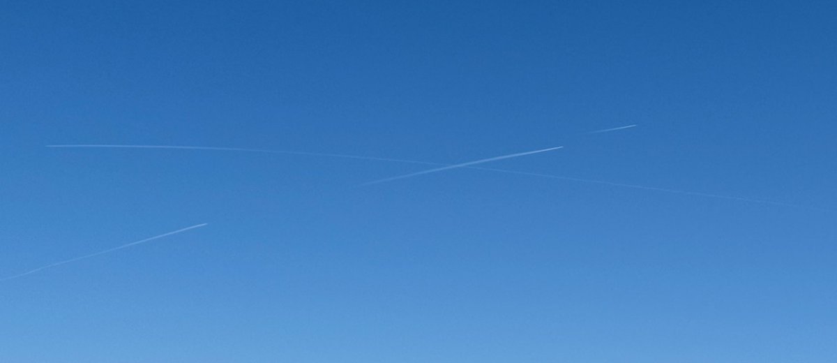 Lithium Flower #нетвойне tweet media