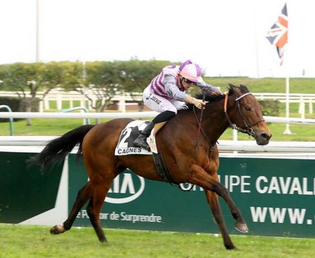 Pronosticpmu_fr's tweet photo. CREW DRAGON (2 - Mickael Barzalona) notre favori pour le #quinté + du jour à Saint-Cloud (Prix Teddy  - R1-C1 - Plat - 16 partants - 1.400 m. - Piste en herbe - Corde à gauche - Terrain: Très souple 3,9)

Départ prévu à 13H55

https://t.co/UJuVOs5kiC https://t.co/L2XSx8a4pH