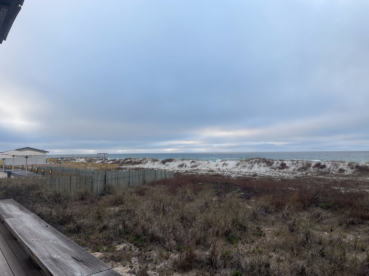 Nick Davis tweet media