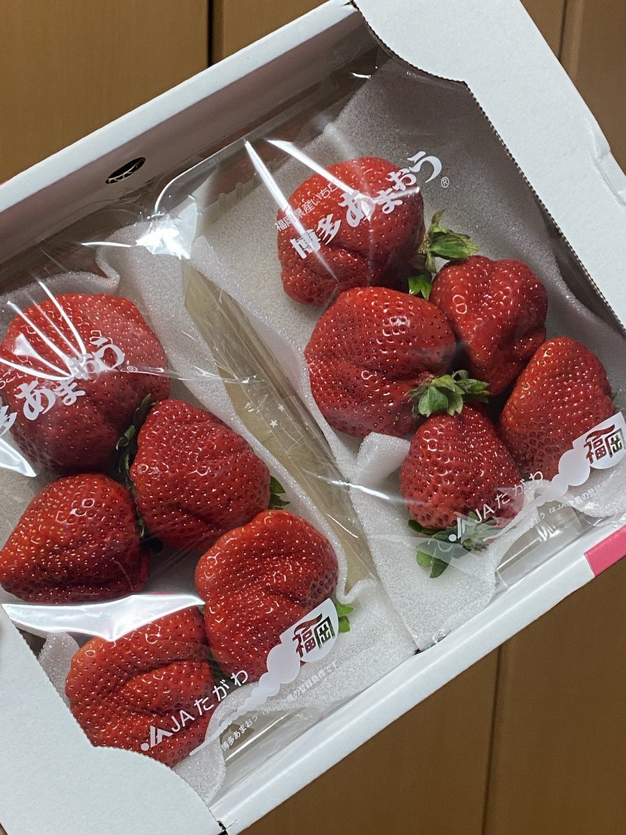 MITO@来店型代理店OL tweet media