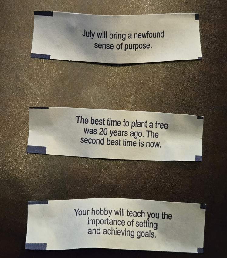 CuldceptCentral's tweet photo. Apparently Culdra has decided to speak to us via fortune cookies. You can't make this stuff up! ๐
#CuldceptBegins #CuldceptTheFirst #IsItJulyYet https://t.co/j3pDZEy988