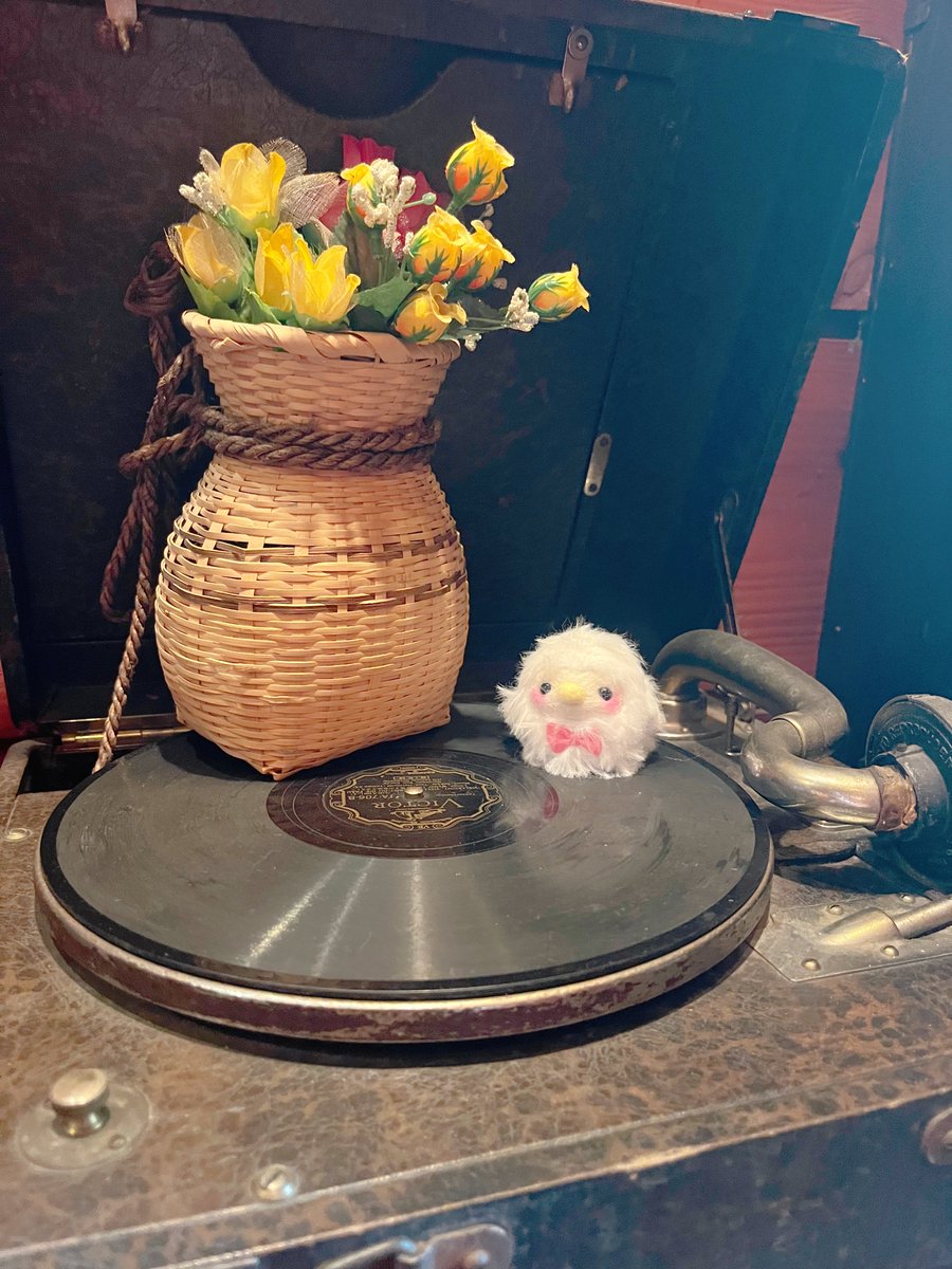 lightbaby2's tweet photo. 手のひらサイズのお友達作りました♪
ぬい活に憧れていて
いつか自分の作品とおでかけしたいと思っていたのでさっそくできて嬉しいし楽しい！！🥰 https://t.co/LWFGr5kuuK