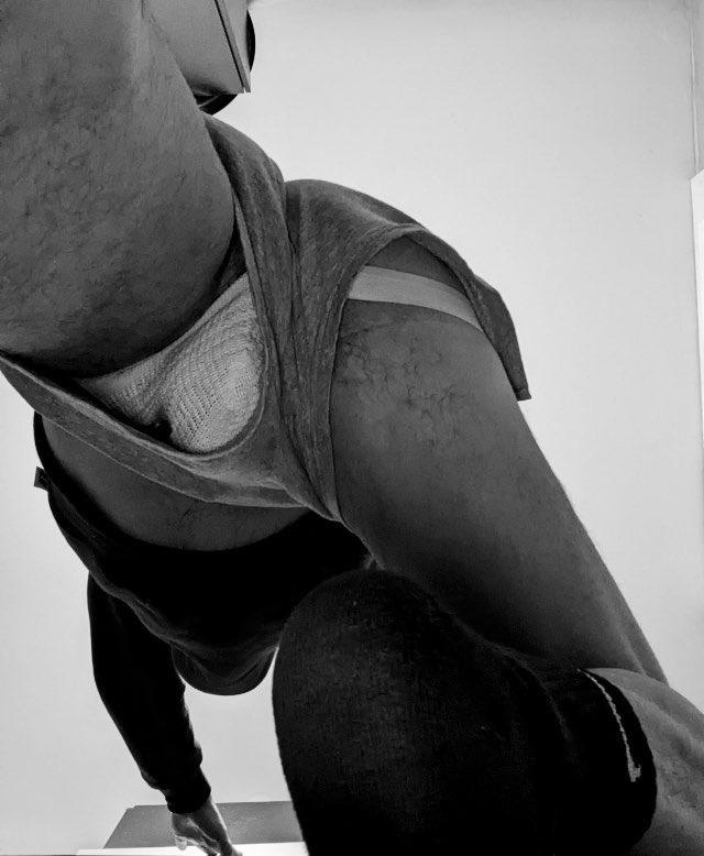 Bernie el pingüino tweet media