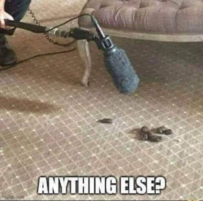 thatdamnfrog tweet media