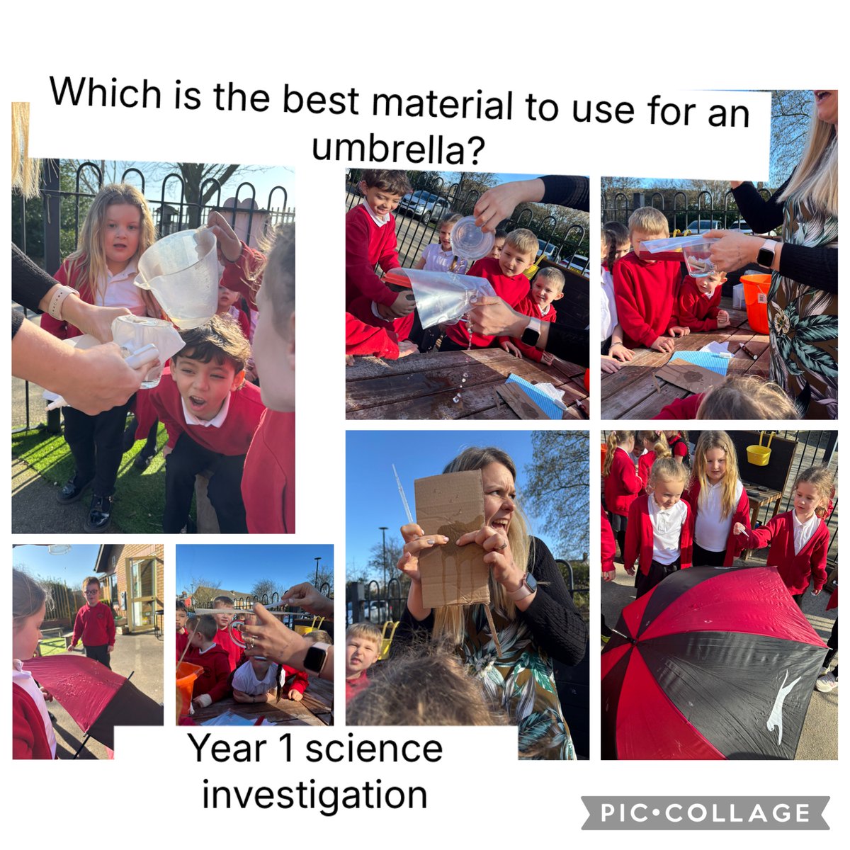 Joelene Grassby tweet media