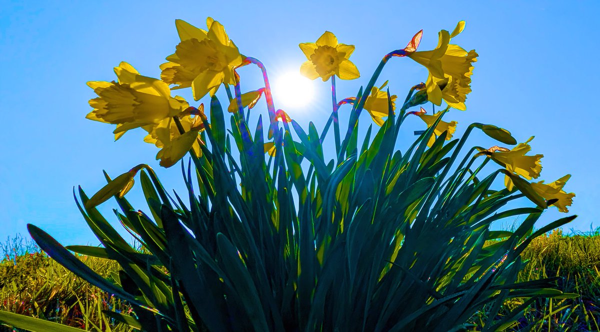 Ed v. Pelt tweet media