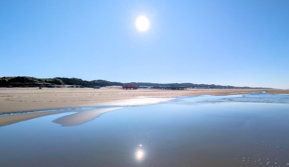 Ed v. Pelt tweet media