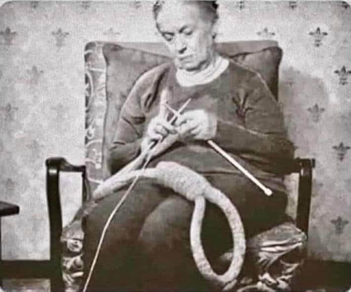 UNION conservatrice tweet media