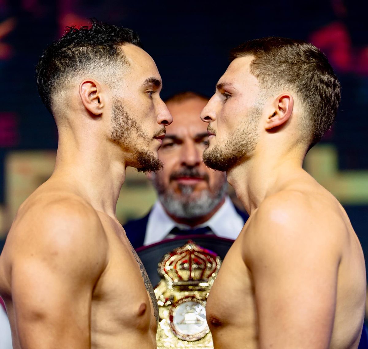 Camille Estephan tweet media