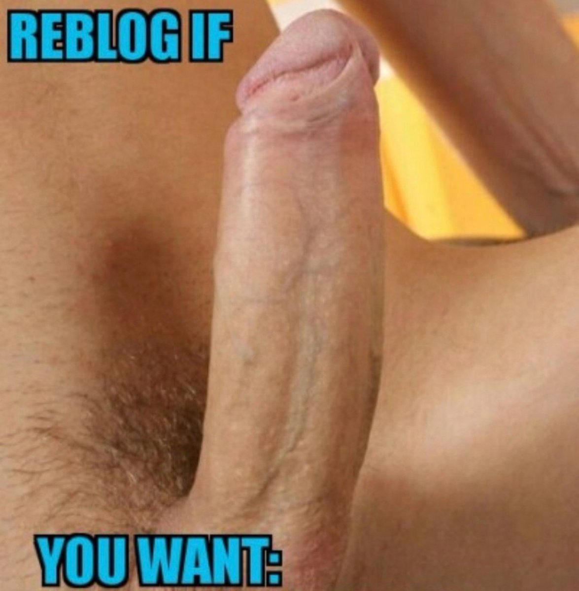 Bluwater24768's tweet photo. REBLOG IF YOU WANT ♥️😛♥️ 
FOLLOW ME @Bluwater24768 
DM IS ALWAYS OPEN 🔥🔥🔥 https://t.co/2WUZYsb83T