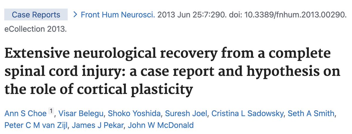 Igor Eckert tweet media