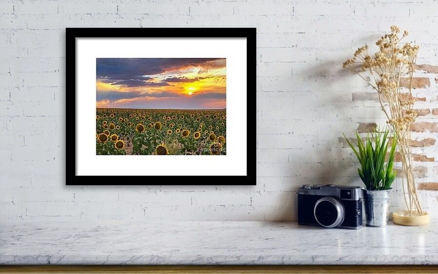 erinmdorffette's tweet image. A beautiful sky for unfortunate circumstances…. #wildfires created a #sunset like experience over a #field of #sunflowers

faa.savingmemoriesbymakingmemories.com/featured/wildf…

#wallart #wallartforsale #BuyIntoArt #ArtOfTheDay #artcollector #photooftheday #photography #wildfire #fineart #art