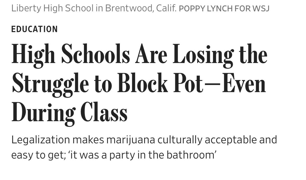 Luke Niforatos tweet media