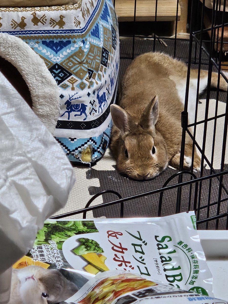 S4nkaRea tweet media