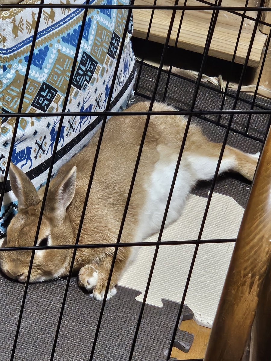 S4nkaRea tweet media