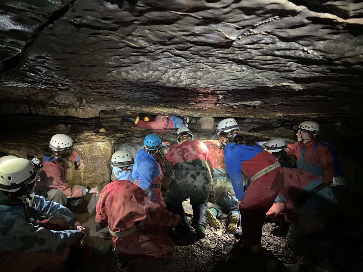 Maplefields Academy tweet media