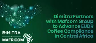 Dimitra Sub-Sahara tweet media