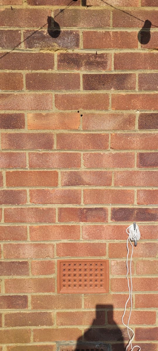 Brian Vanderhook tweet media