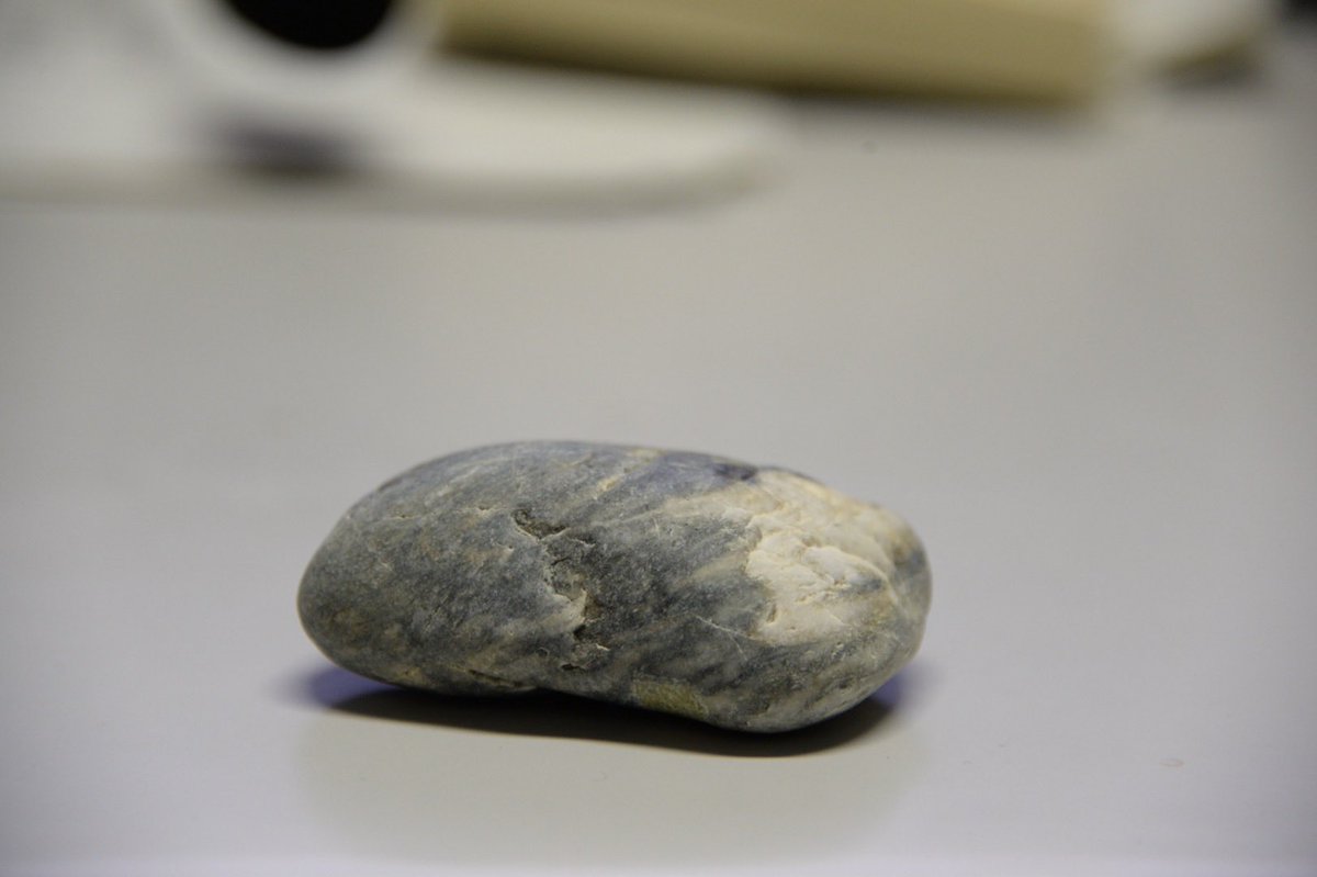 今日の石 2026年03月05日 屋内 #StonesInTheWild