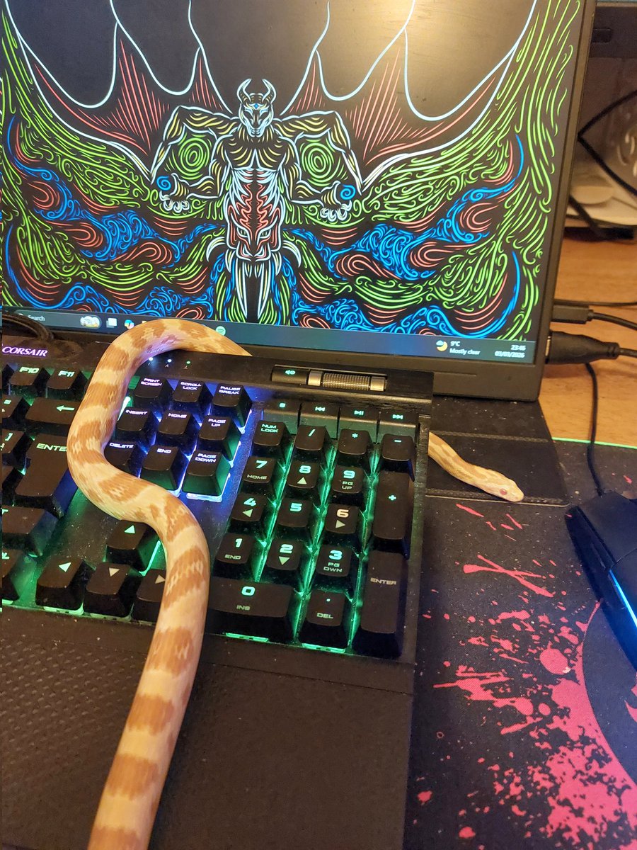 💚🏴󠁧󠁢󠁷󠁬󠁳󠁿xVenja🐍 tweet media