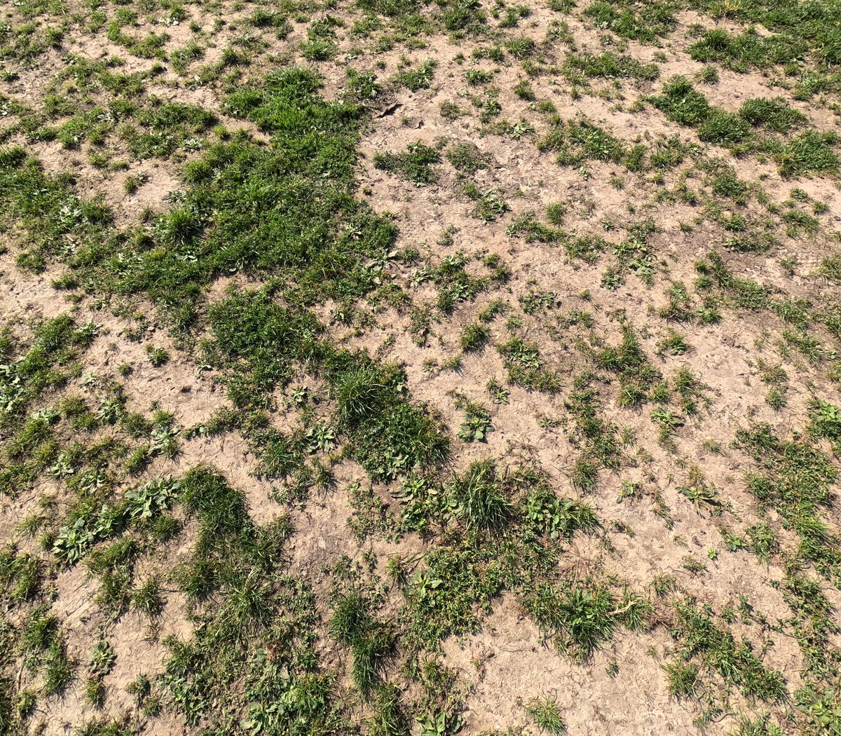 JefKPhotography's tweet photo. The ground.
A photo of the ground.
#theground #photo #photos #picture #pictures #photography https://t.co/vdKtpNWNRK