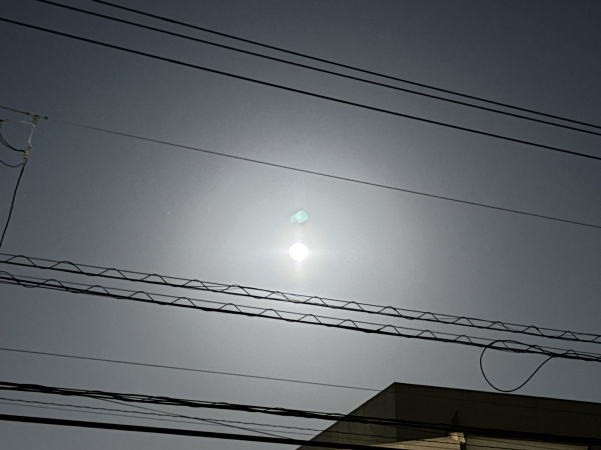 赤城進 tweet media