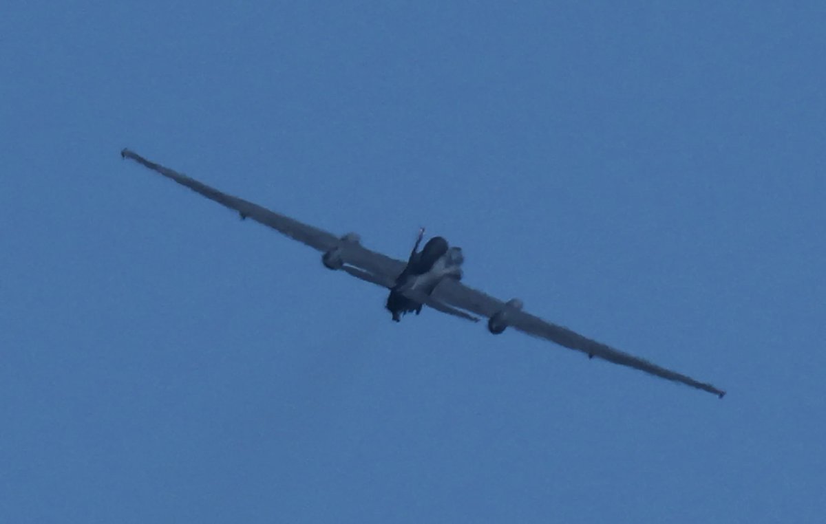 Mario Nawfal tweet media