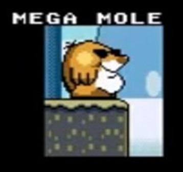 Benjamoon 'Lunie' Starfall ΘΔ tweet media