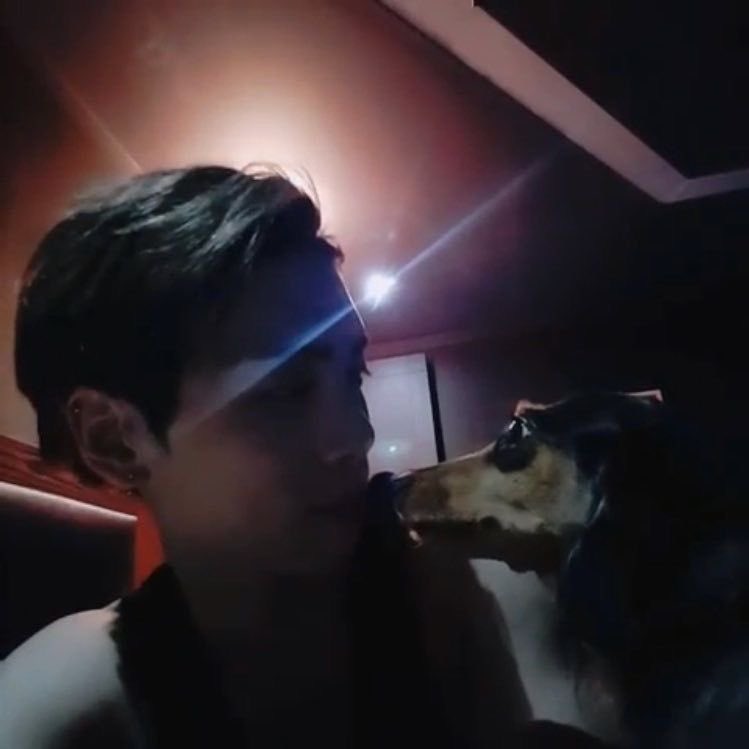 쫑카이브 🤍 tweet media