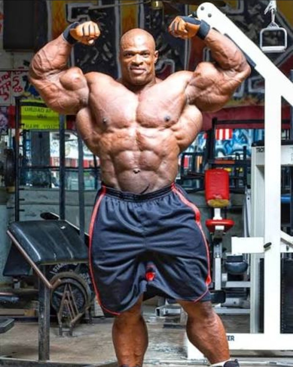 Master Roginha💚🇮🇹 tweet media