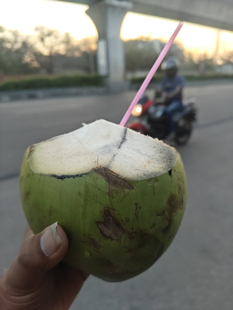 Day-(62/365)

> Had coconut water 
>Had 2L of water
(Forgot to post 😅)