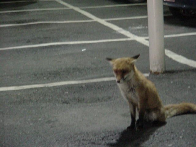 #̱RIP&TEAR．ֵ tweet media