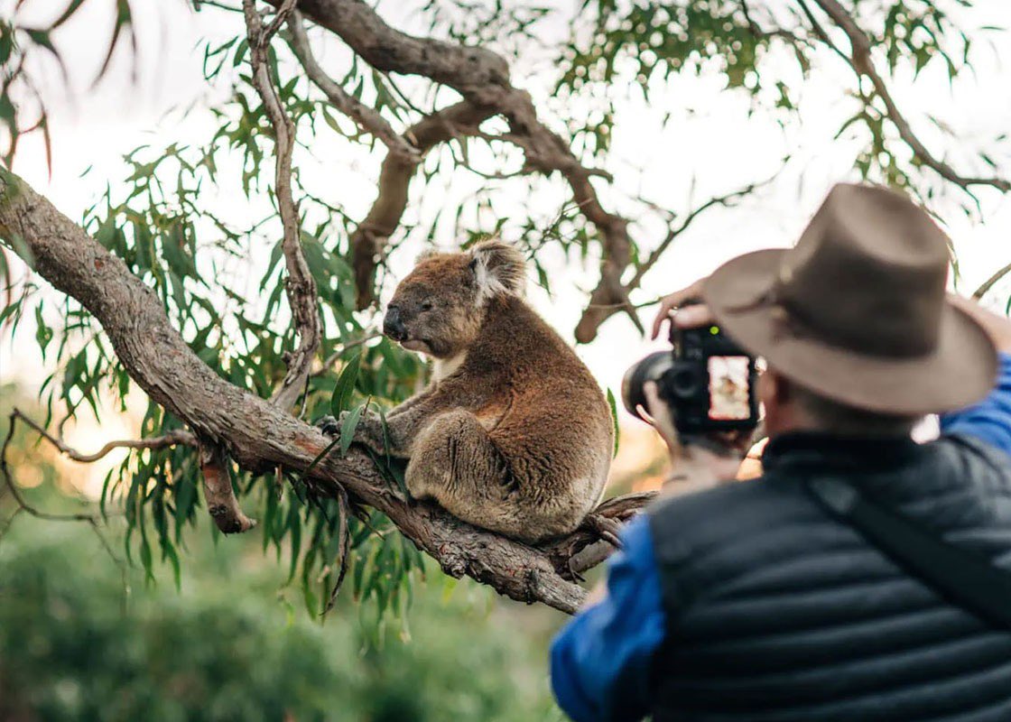 Geoffrey Kent tweet media