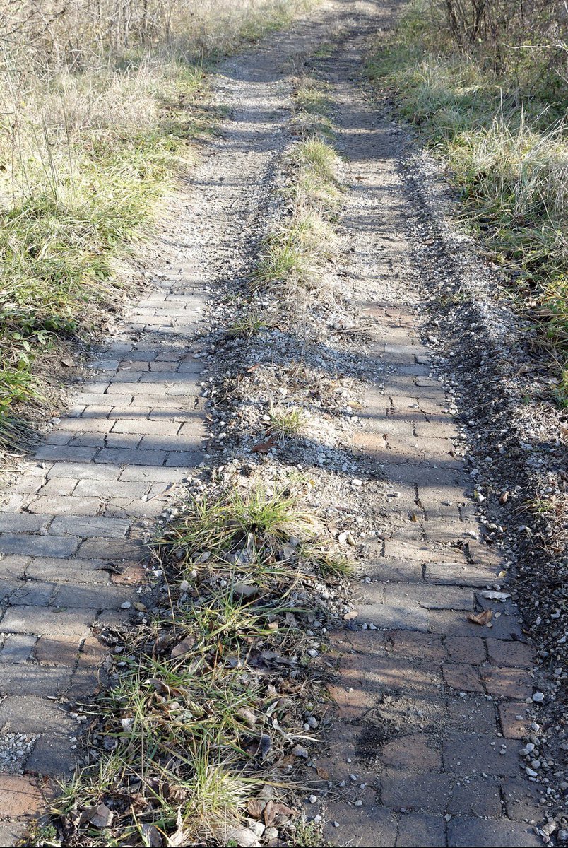 Historian Brady Crytzer 🇺🇸 tweet media