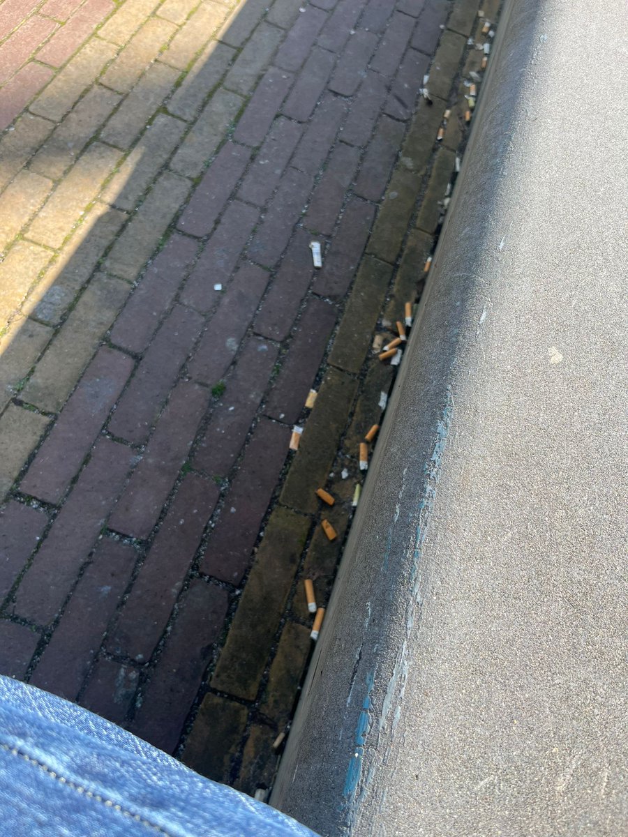 Jolanda Gaal tweet media