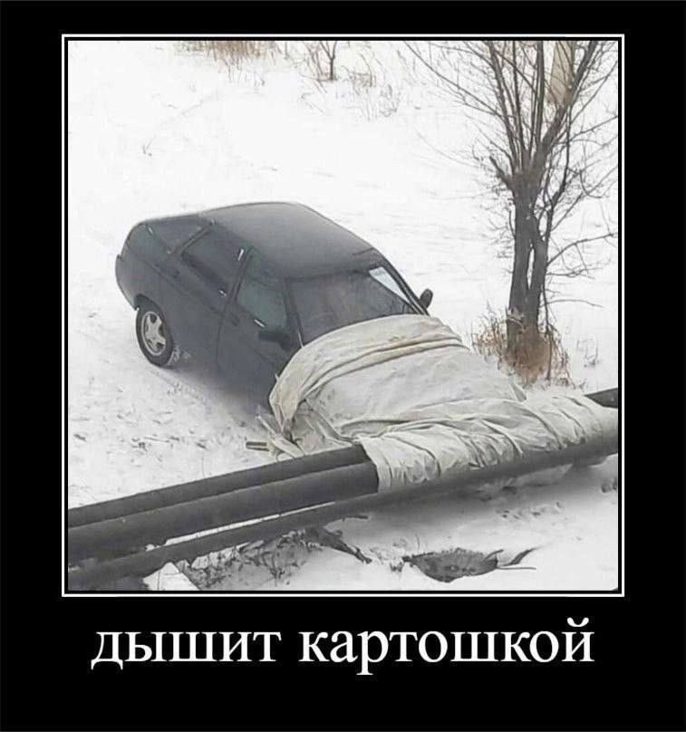 гемі🎐 (@gemi_softy) on Twitter photo 
