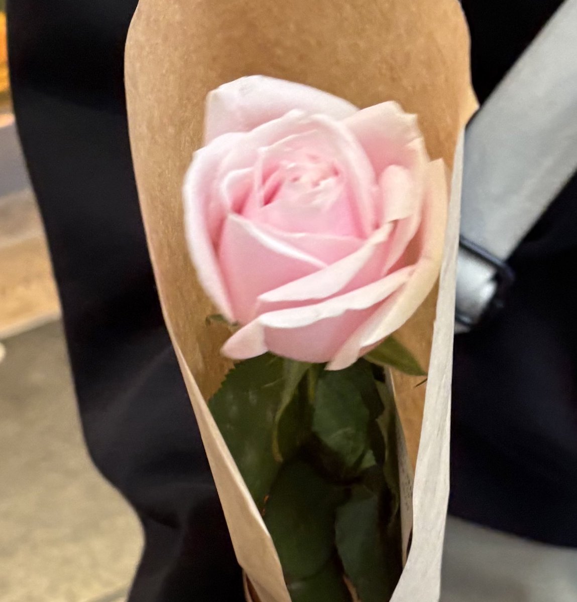 minaha3787's tweet photo. 会うたびに薔薇をあげます
ミクちゃんのギターピック返してㅎㅎ https://t.co/adtlVw5EJa