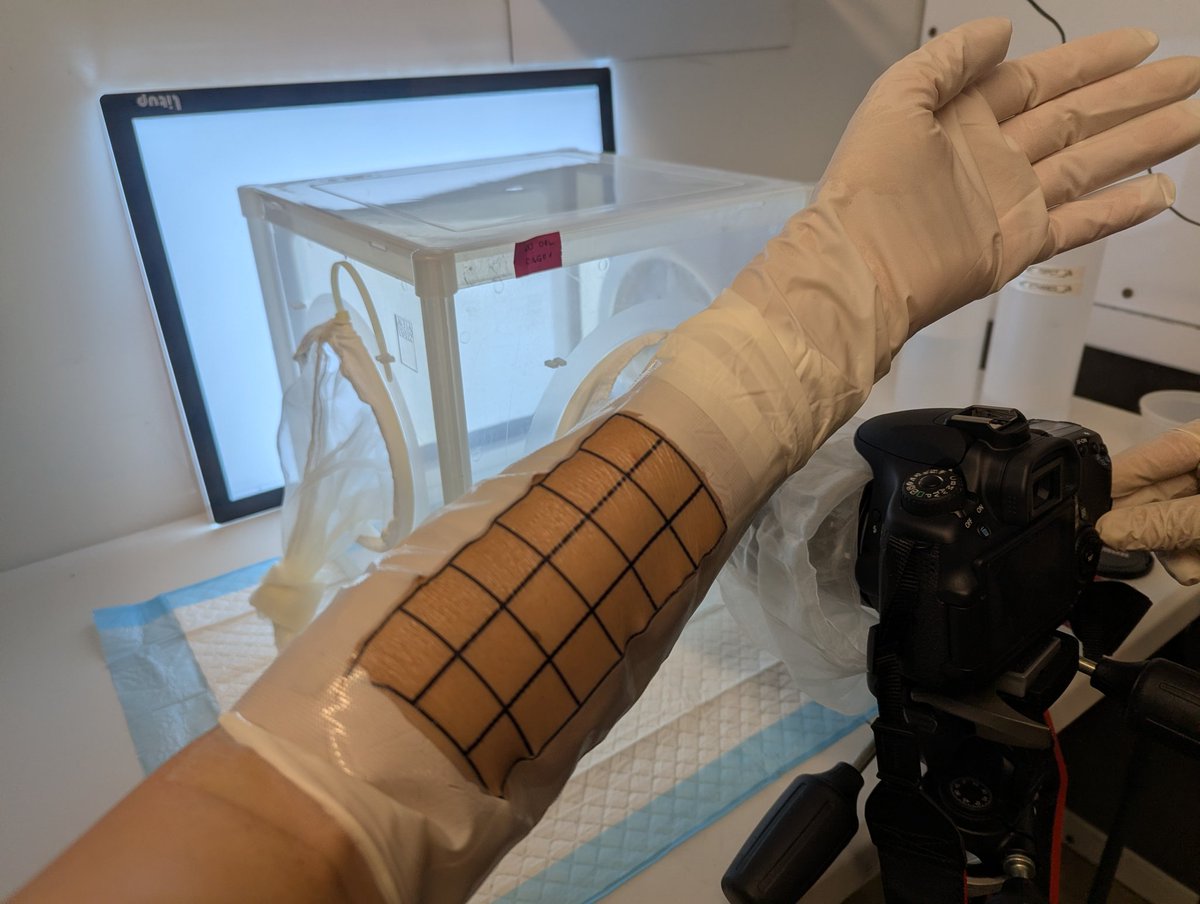 Leslie Vosshall PhD tweet media