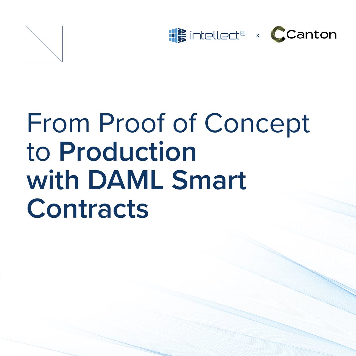 IntellectEU tweet media