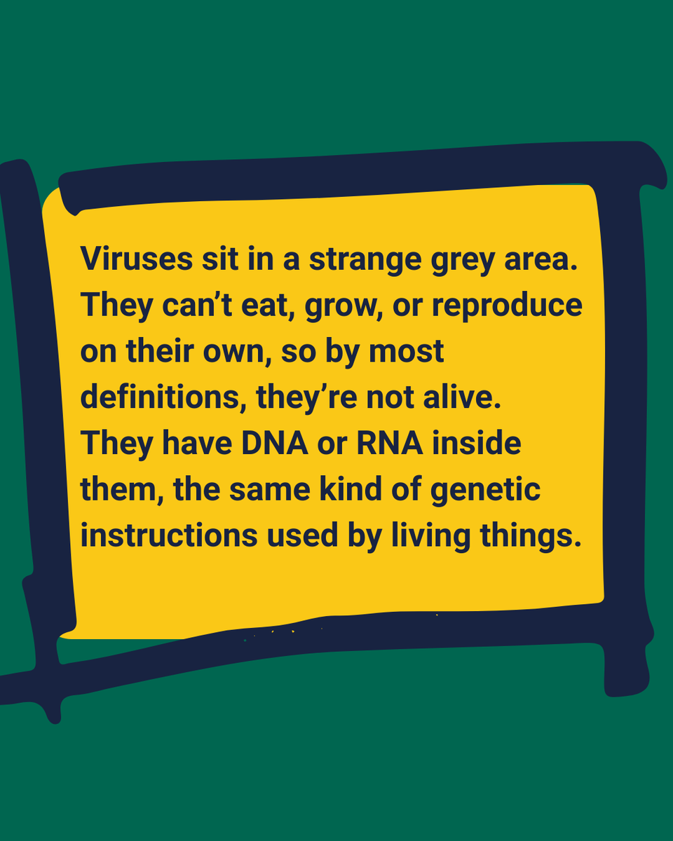 STEM Response Team - University of Wolverhampton tweet media