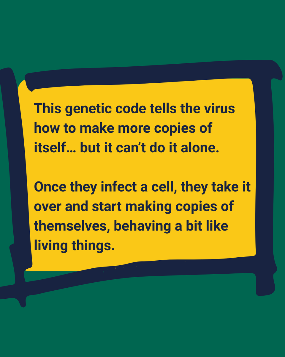 STEM Response Team - University of Wolverhampton tweet media