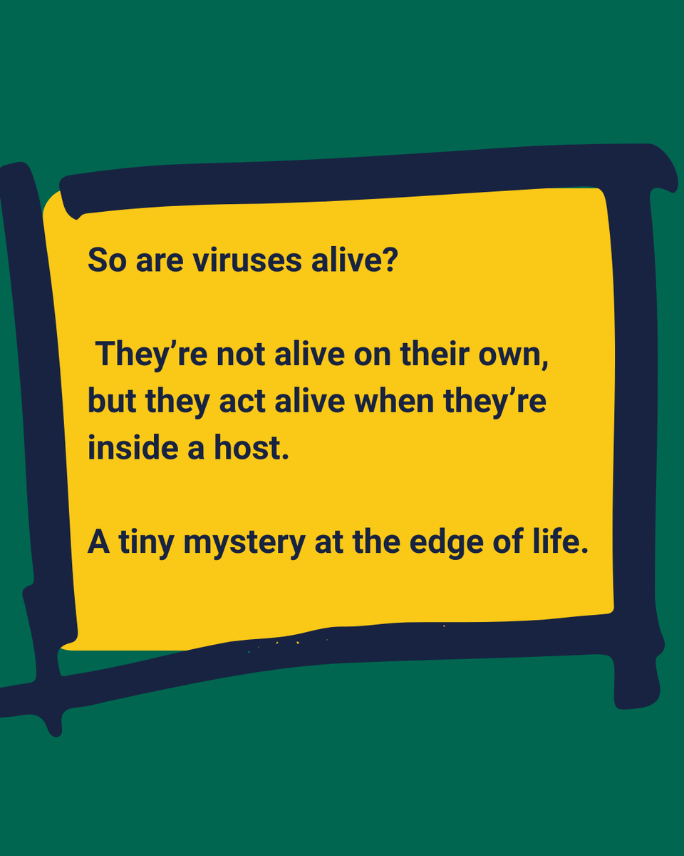 STEM Response Team - University of Wolverhampton tweet media