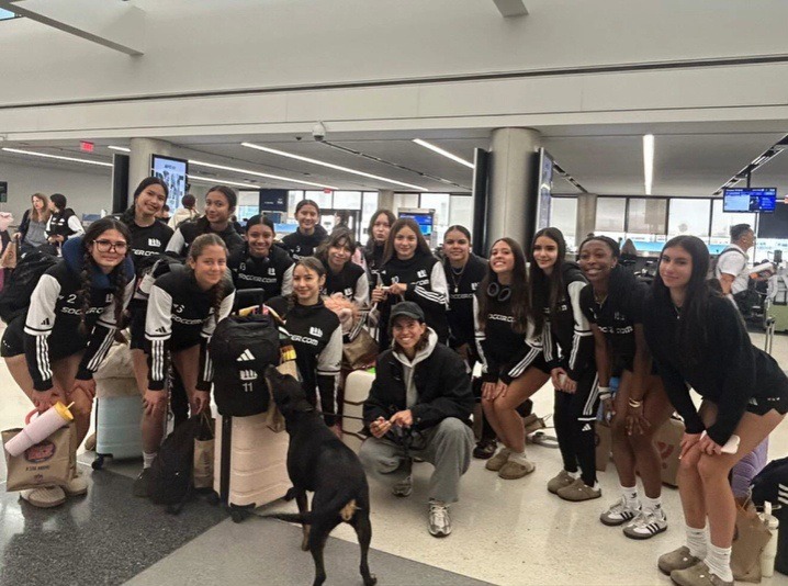 Tobin Heath Argentina 🇦🇷 tweet media